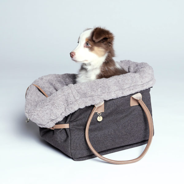 Hundetasche City Carrier mit Hund