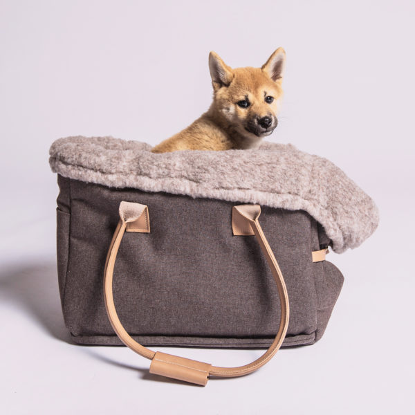 Hundetasche City Carrier mit Hund