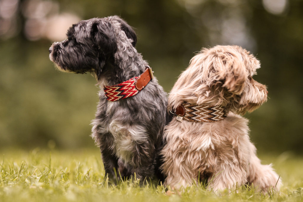 Peruvian rot und braun