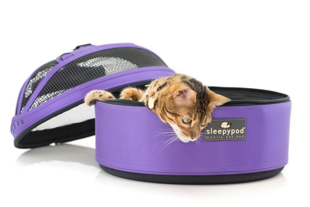 SleepyPod rund violett mit Katze drinnen