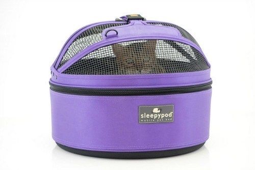 SleepyPod rund violett mit Katze drinnen