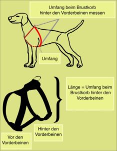 Hundegeschirr