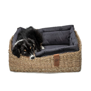Panier pour chien