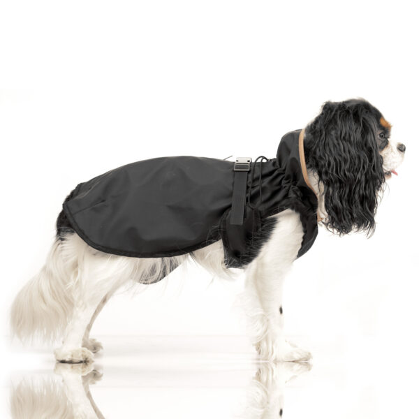 Hundemantel