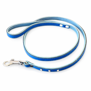 Hundeleine Hundehalsband