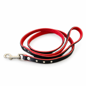 Hundeleine Hundehalsband