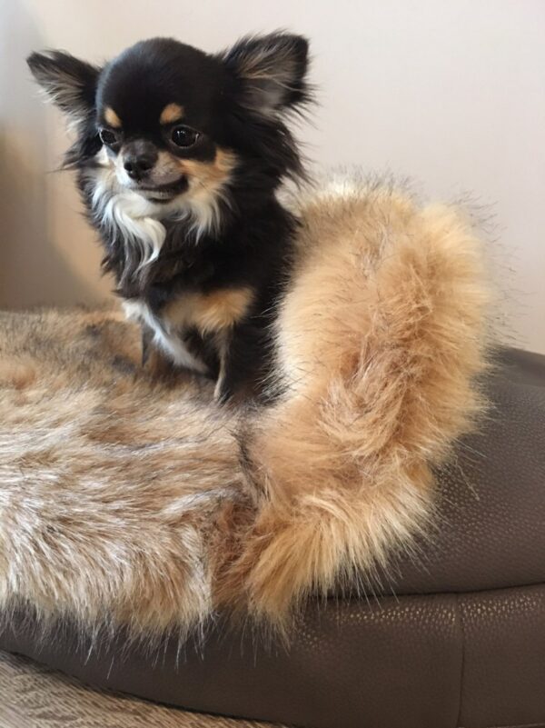 Hundebett Katzenbett