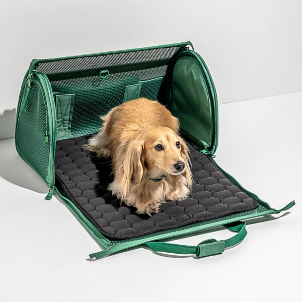 Hundetasche