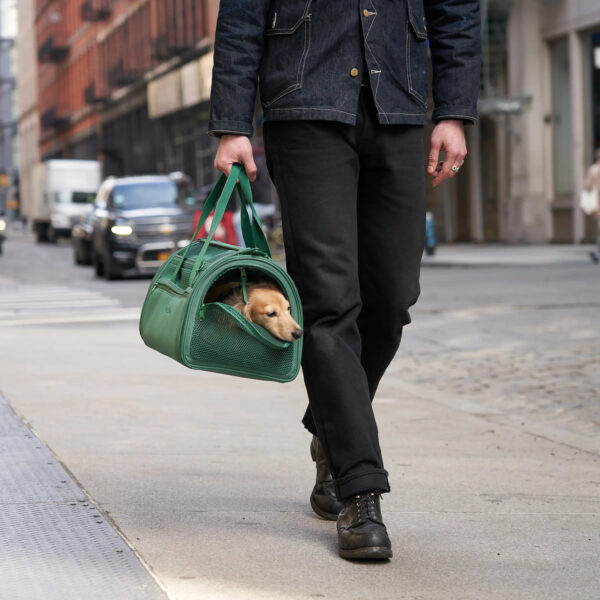 Hundetasche