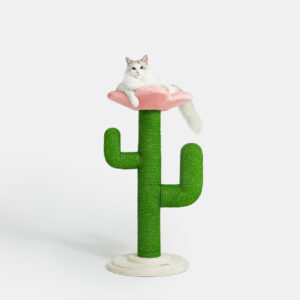 Katzenbaum