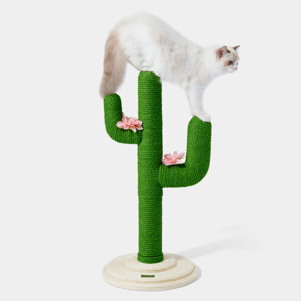 Arbre à chat