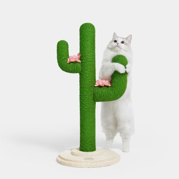 Arbre à chat