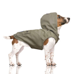 Hunderegenjacke