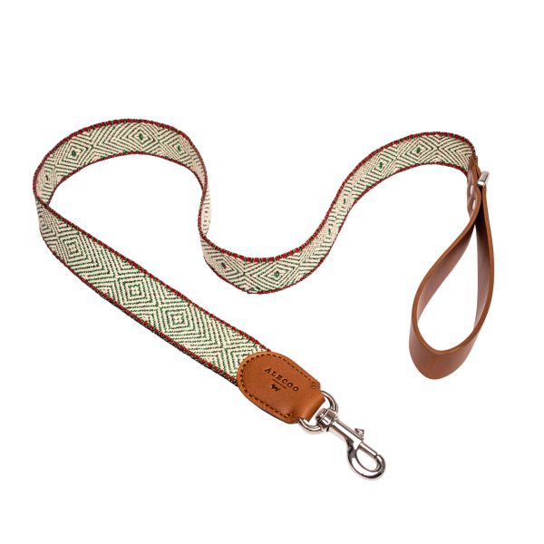 Laisse pour chien