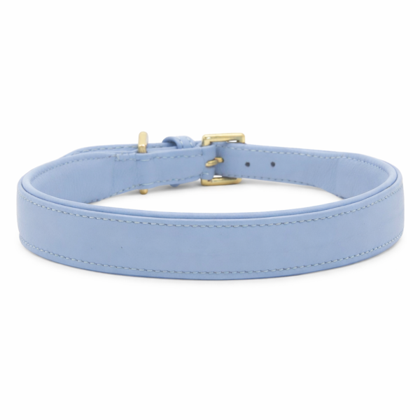 Collier de chien MIKKIS Beginning en cuir de vache nappa avec des pièces en laiton, collier en cuir élégant et doux pour les chiens