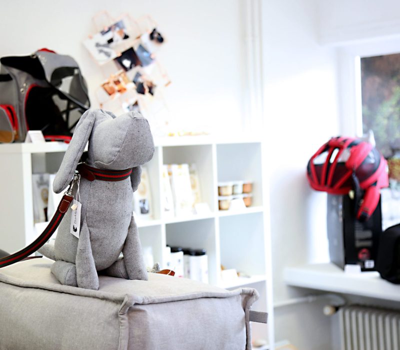 Showroom innen