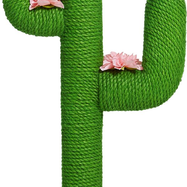 Katzenbaum